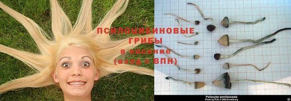 метамфетамин Алексеевка